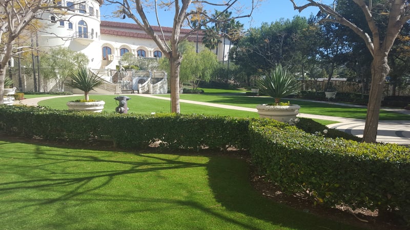 St. Regis preview 2